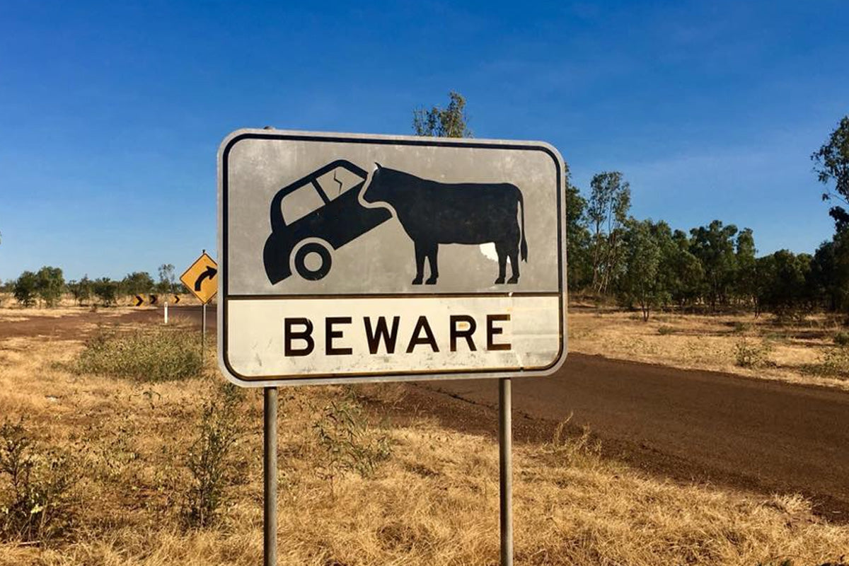 Animal collision Warning Sign