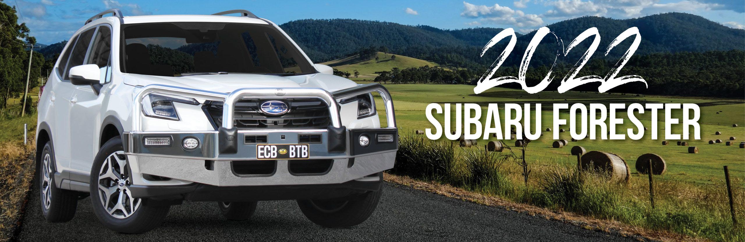 Subaru Forester Bullbars