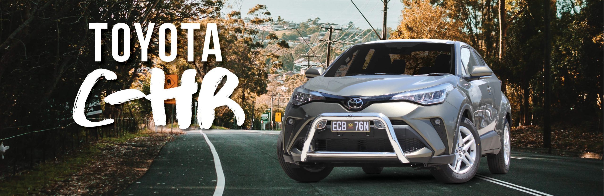 Nudge Bar to Suit Toyota C-HR